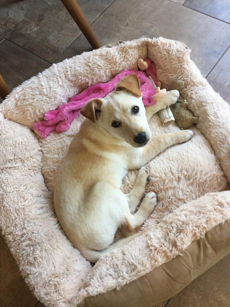 Photo Feb 04, 2 02 30 PM